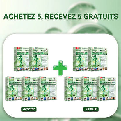 GLORENDA® ⏳ Plus que 8 unités ! 🔥 –30 % · 4–6 recommandés · Stock limité · Réassort l’an prochain 👉 Dépêchez-vous !