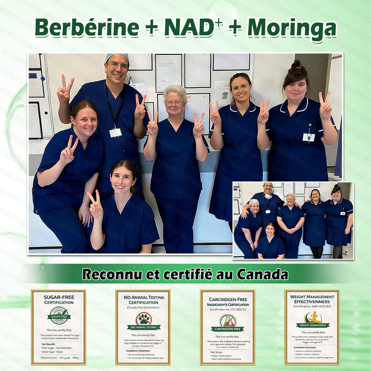 Boutique officielle |  🎄 GLORENDA® 2026 Moringa & Berbérine × NAD+ Patch micro-nano avancé 4-en-1(À utiliser une fois par jour, résultats visibles en 7 jours)✅ Pour l’obésité, le relâchement cutané, l’apnée du sommeil, les problèmes articulaires 🎁
