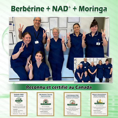 Boutique officielle |  🎄 GLORENDA® 2026 Moringa & Berbérine × NAD+ Patch micro-nano avancé 4-en-1(À utiliser une fois par jour, résultats visibles en 7 jours)✅ Pour l’obésité, le relâchement cutané, l’apnée du sommeil, les problèmes articulaires 🎁