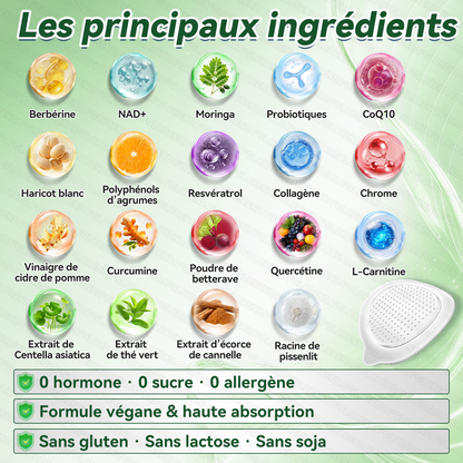 Boutique officielle |  🎄 GLORENDA® 2026 Moringa & Berbérine × NAD+ Patch micro-nano avancé 4-en-1(À utiliser une fois par jour, résultats visibles en 7 jours)✅ Pour l’obésité, le relâchement cutané, l’apnée du sommeil, les problèmes articulaires 🎁