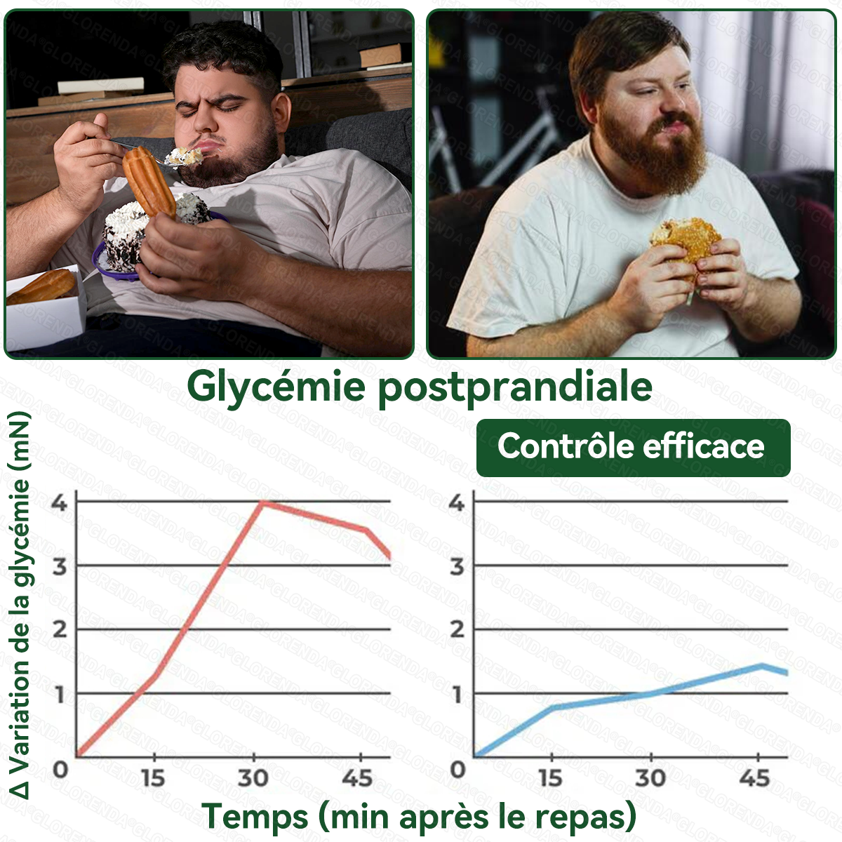 Boutique officielle |  🎄 GLORENDA® 2026 Moringa & Berbérine × NAD+ Patch micro-nano avancé 4-en-1(À utiliser une fois par jour, résultats visibles en 7 jours)✅ Pour l’obésité, le relâchement cutané, l’apnée du sommeil, les problèmes articulaires 🎁