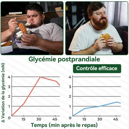 Boutique officielle |  🎄 GLORENDA® 2026 Moringa & Berbérine × NAD+ Patch micro-nano avancé 4-en-1(À utiliser une fois par jour, résultats visibles en 7 jours)✅ Pour l’obésité, le relâchement cutané, l’apnée du sommeil, les problèmes articulaires 🎁